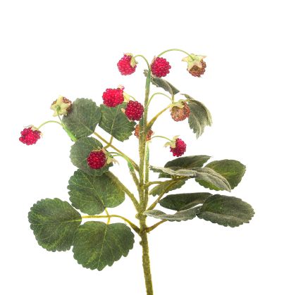 Декоративно Изкуствено Цвете FRAGOLINE DI BOSCO 