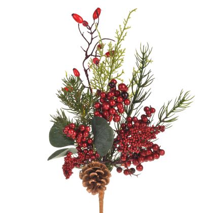 Коледно растение, декоративен коледно растение