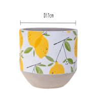  Саксия Лимон