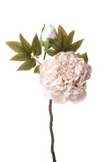 Декоративно Изкуствено Цвете  PEONIE DRY 