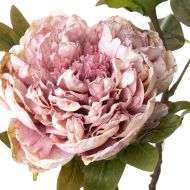 Декоративно Изкуствено Цвете  PEONIE DRY 