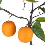 Декоративно Изкуствено Цвете  RAMO ARANCE