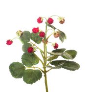 Декоративно Изкуствено Цвете FRAGOLINE DI BOSCO RF013