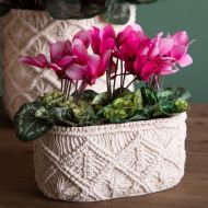 Декоративна Саксия CE100