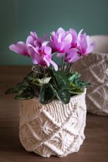 Кашпа натурален цвят