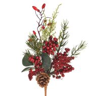 Коледно растение, декоративен коледно растение