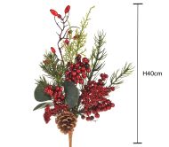 Коледно растение, декоративен коледно растение